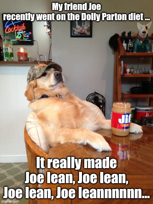 Redneck Dog | My friend Joe recently went on the Dolly Parton diet ... It really made Joe lean, Joe lean, Joe lean, Joe leannnnnn... | image tagged in redneck dog,hillbilly,dog,funny,lol | made w/ Imgflip meme maker