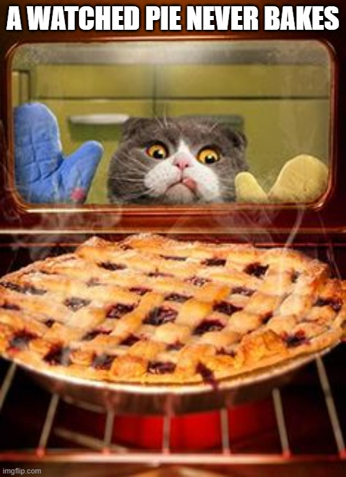 memes by Brad - A watched pie never bakes - Thanksgiving | A WATCHED PIE NEVER BAKES | image tagged in funny,cats,kittens,thanksgiving,pie,humor | made w/ Imgflip meme maker