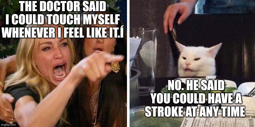 Smudge that darn cat with Karen | THE DOCTOR SAID I COULD TOUCH MYSELF WHENEVER I FEEL LIKE IT.Í; NO. HE SAID YOU COULD HAVE A STROKE AT ANY TIME | image tagged in smudge that darn cat with karen | made w/ Imgflip meme maker