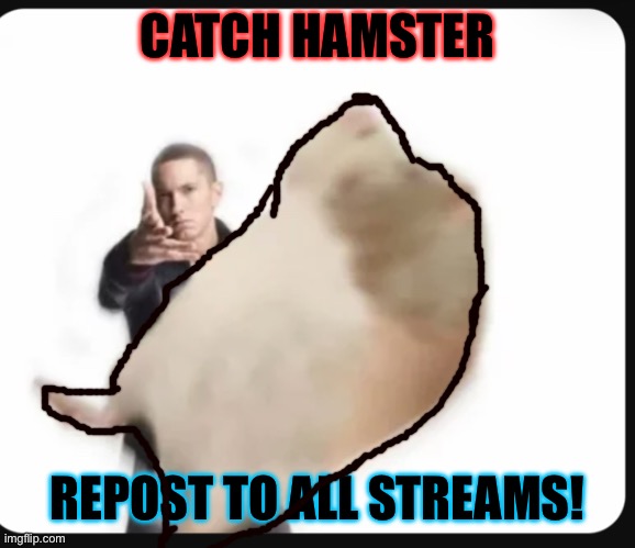 Catch | CATCH HAMSTER; REPOST TO ALL STREAMS! | image tagged in repost | made w/ Imgflip meme maker