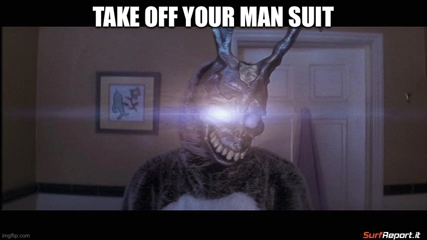 Frank The Rabbit | TAKE OFF YOUR MAN SUIT | image tagged in frank the rabbit | made w/ Imgflip meme maker