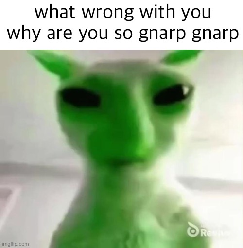 goofy ahh alien cat | what wrong with you why are you so gnarp gnarp | image tagged in goofy ahh alien cat,alien cat,gnarp gnarp,gnarpy | made w/ Imgflip meme maker