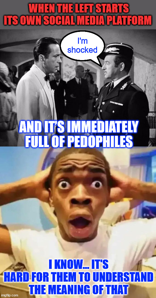 So happy the pedos are leaving X | WHEN THE LEFT STARTS ITS OWN SOCIAL MEDIA PLATFORM; I'm shocked; AND IT’S IMMEDIATELY FULL OF PEDOPHILES; I KNOW... IT'S HARD FOR THEM TO UNDERSTAND THE MEANING OF THAT | image tagged in libs,leaving,x | made w/ Imgflip meme maker