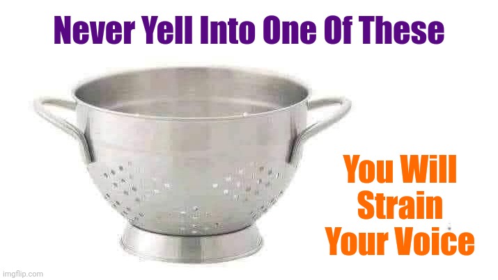 If only the strainer could be used to filter out unnecessary nonsense from conversations | Never Yell Into One Of These; You Will Strain Your Voice | image tagged in memes,puns | made w/ Imgflip meme maker