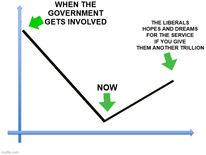 That awkward moment when the best case scenario is getting mostly back to where you started | WHEN THE GOVERNMENT GETS INVOLVED; THE LIBERALS HOPES AND DREAMS FOR THE SERVICE IF YOU GIVE THEM ANOTHER TRILLION; NOW | image tagged in downward line graph | made w/ Imgflip meme maker