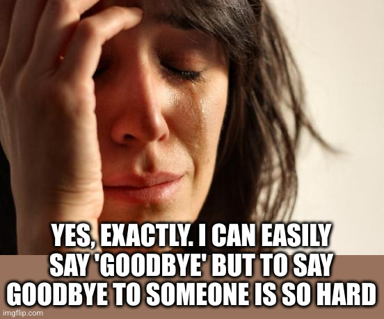 First World Problems Meme | YES, EXACTLY. I CAN EASILY SAY 'GOODBYE' BUT TO SAY GOODBYE TO SOMEONE IS SO HARD | image tagged in memes,first world problems | made w/ Imgflip meme maker