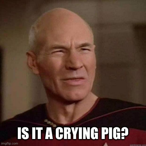 Dafuq Picard | IS IT A CRYING PIG? | image tagged in dafuq picard | made w/ Imgflip meme maker