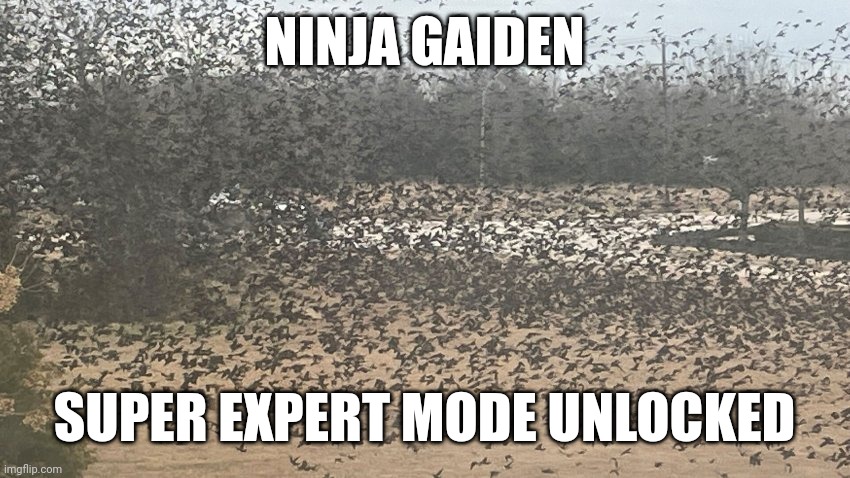 Because being a psychotic douchebag is FUN! | NINJA GAIDEN; SUPER EXPERT MODE UNLOCKED | image tagged in gaming,cursed image | made w/ Imgflip meme maker