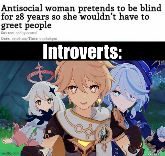 As a Introverts, that woman got my respect! | Introverts: | image tagged in introverts,antisocial | made w/ Imgflip meme maker