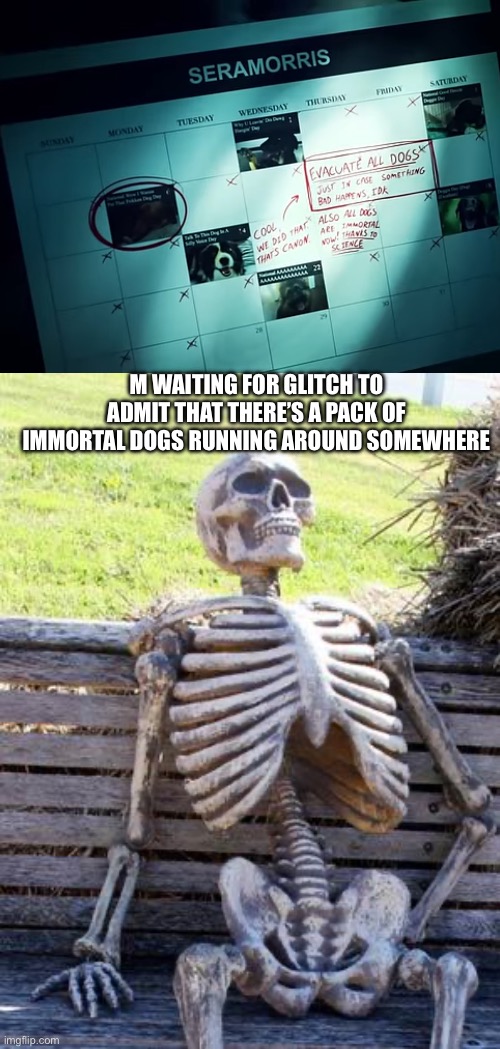 M WAITING FOR GLITCH TO ADMIT THAT THERE’S A PACK OF IMMORTAL DOGS RUNNING AROUND SOMEWHERE | image tagged in memes,waiting skeleton | made w/ Imgflip meme maker