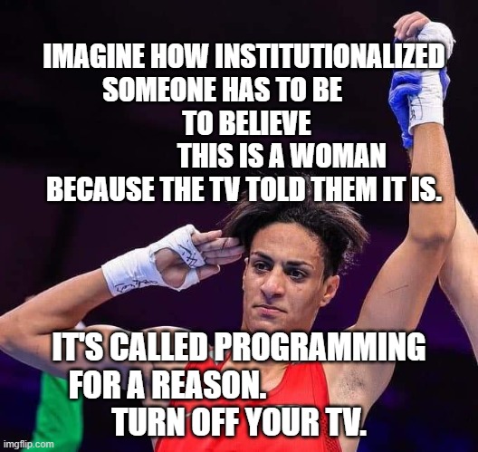 Male Boxer cheating at Olympics | IMAGINE HOW INSTITUTIONALIZED SOMEONE HAS TO BE        
      TO BELIEVE                    THIS IS A WOMAN BECAUSE THE TV TOLD THEM IT IS. IT'S CALLED PROGRAMMING FOR A REASON.                       
 TURN OFF YOUR TV. | image tagged in male boxer cheating at olympics | made w/ Imgflip meme maker