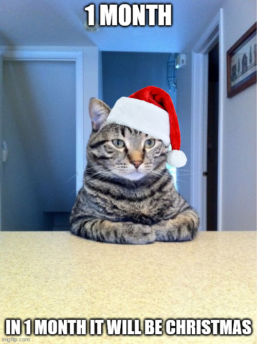 Take A Seat Cat | 1 MONTH; IN 1 MONTH IT WILL BE CHRISTMAS | image tagged in memes,take a seat cat,cat,xmas,christmas | made w/ Imgflip meme maker