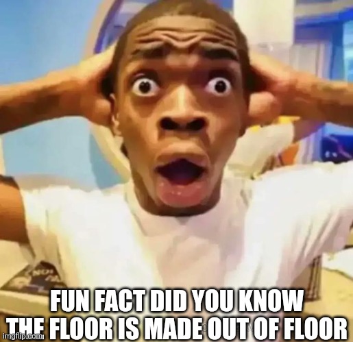 Someone try to correct me | FUN FACT DID YOU KNOW THE FLOOR IS MADE OUT OF FLOOR | image tagged in shocked black guy | made w/ Imgflip meme maker