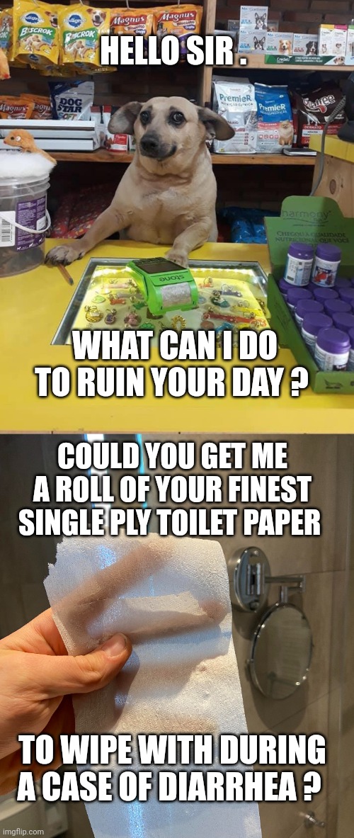 dog meme | HELLO SIR . WHAT CAN I DO TO RUIN YOUR DAY ? COULD YOU GET ME A ROLL OF YOUR FINEST SINGLE PLY TOILET PAPER; TO WIPE WITH DURING A CASE OF DIARRHEA ? | image tagged in diarrhea | made w/ Imgflip meme maker