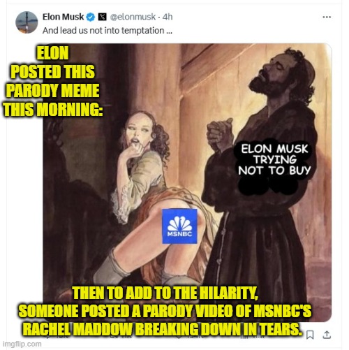 Good Lord, but the Right CAN Meme! | ELON POSTED THIS PARODY MEME THIS MORNING:; THEN TO ADD TO THE HILARITY, SOMEONE POSTED A PARODY VIDEO OF MSNBC'S RACHEL MADDOW BREAKING DOWN IN TEARS. | image tagged in yep | made w/ Imgflip meme maker