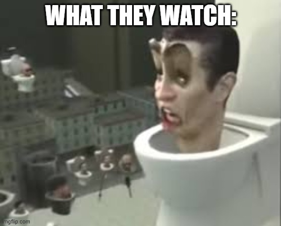 Skibidi toilet meme | WHAT THEY WATCH: | image tagged in skibidi toilet meme | made w/ Imgflip meme maker