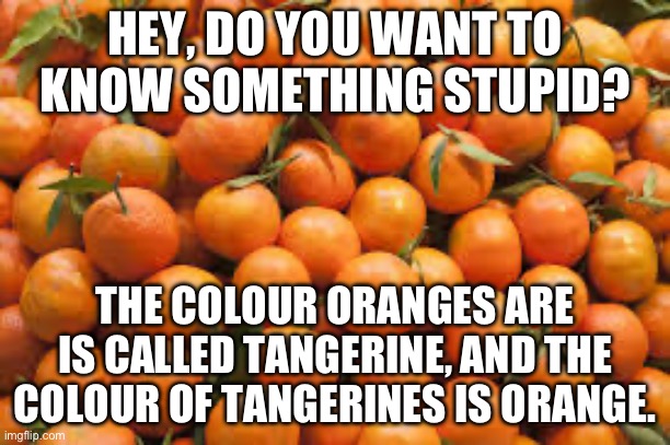 Yes, I am Canadian. I spell stuff with a ‘u’. | HEY, DO YOU WANT TO KNOW SOMETHING STUPID? THE COLOUR ORANGES ARE IS CALLED TANGERINE, AND THE COLOUR OF TANGERINES IS ORANGE. | image tagged in oranges,fruit | made w/ Imgflip meme maker