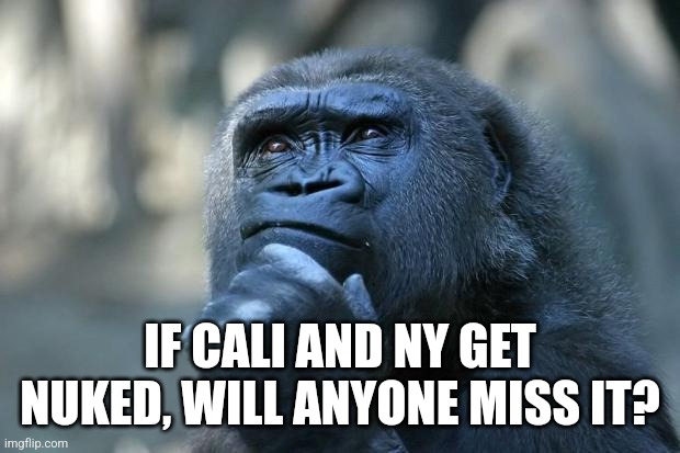 Deep Thoughts | IF CALI AND NY GET NUKED, WILL ANYONE MISS IT? | image tagged in deep thoughts | made w/ Imgflip meme maker