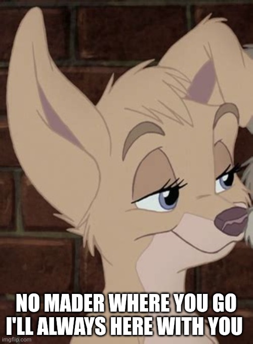 No Mader Where You Go I'll Always Here With You | NO MADER WHERE YOU GO I'LL ALWAYS HERE WITH YOU | image tagged in lady and the tramp 2 angel,alyssa milano,disney,dogs | made w/ Imgflip meme maker