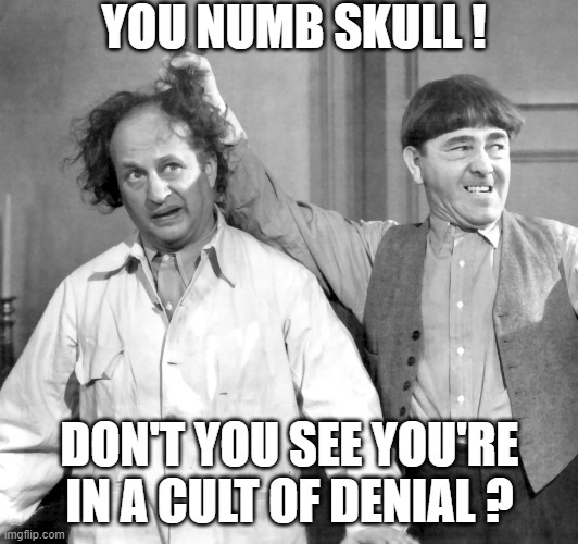 YOU NUMB SKULL ! DON'T YOU SEE YOU'RE IN A CULT OF DENIAL ? | made w/ Imgflip meme maker