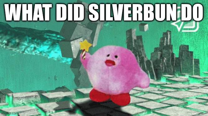 Kerbe joins the battle | WHAT DID SILVERBUN DO | image tagged in kerbe joins the battle | made w/ Imgflip meme maker