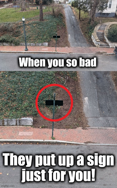 Sign facing private driveway | When you so bad; They put up a sign
just for you! | image tagged in memes,sign,you damn crazy driver,private driveway | made w/ Imgflip meme maker