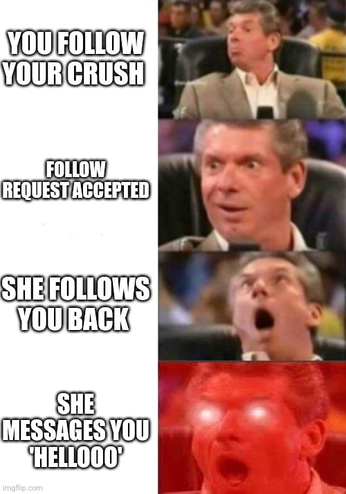 Mr. McMahon reaction | YOU FOLLOW YOUR CRUSH; FOLLOW REQUEST ACCEPTED; SHE FOLLOWS YOU BACK; SHE MESSAGES YOU 'HELLOOO' | image tagged in mr mcmahon reaction | made w/ Imgflip meme maker