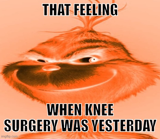 Blue Grinch | THAT FEELING; WHEN KNEE SURGERY WAS YESTERDAY | image tagged in blue grinch | made w/ Imgflip meme maker