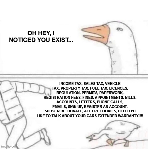 Goose Chase | OH HEY, I NOTICED YOU EXIST... INCOME TAX, SALES TAX, VEHICLE TAX, PROPERTY TAX, FUEL TAX, LICENCES, REGULATION, PERMITS, PAPERWORK, REGISTRATION FEES, FINES, APPOINTMENTS, BILLS, ACCOUNTS, LETTERS, PHONE CALLS, EMAILS, SIGN UP, REGISTER AN ACCOUNT, SUBSCRIBE, DONATE, ACCEPT COOKIES, HELLO I'D LIKE TO TALK ABOUT YOUR CARS EXTENDED WARRANTY!!!! | image tagged in goose chase | made w/ Imgflip meme maker