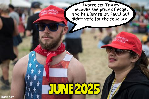 You got egged | I voted for Trump because the price of eggs, and he blames Dr. Fauci but didn't vote for the fascism. JUNE 2025 | image tagged in you got egged,fascist,sfbs,maga morons,preomises broken,sanewashed | made w/ Imgflip meme maker