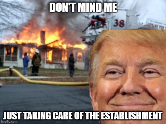 I Mean, What Did Anyone Expect? | DON'T MIND ME; JUST TAKING CARE OF THE ESTABLISHMENT | image tagged in memes,disaster girl | made w/ Imgflip meme maker