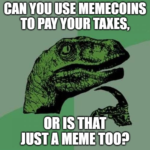 Philosoraptor Meme | CAN YOU USE MEMECOINS TO PAY YOUR TAXES, OR IS THAT JUST A MEME TOO? | image tagged in memes,philosoraptor | made w/ Imgflip meme maker