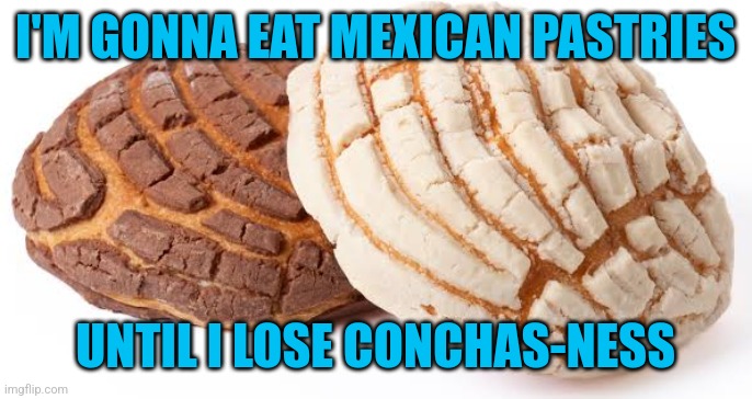 Concha | I'M GONNA EAT MEXICAN PASTRIES; UNTIL I LOSE CONCHAS-NESS | image tagged in concha | made w/ Imgflip meme maker