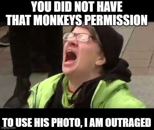 Screaming Liberal  | YOU DID NOT HAVE THAT MONKEYS PERMISSION TO USE HIS PHOTO, I AM OUTRAGED | image tagged in screaming liberal | made w/ Imgflip meme maker