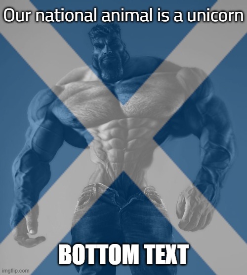 Our national animal is a unicorn; BOTTOM TEXT | made w/ Imgflip meme maker