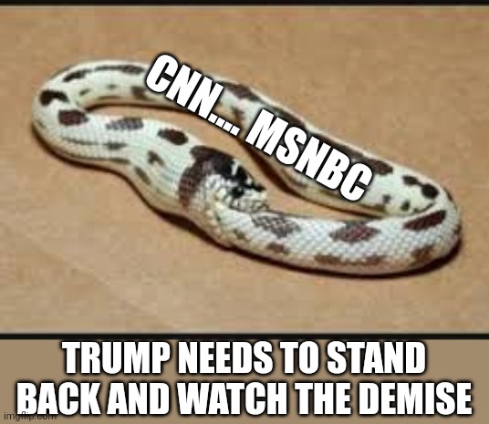 Don't legitimise mainstream media | CNN.... MSNBC; TRUMP NEEDS TO STAND BACK AND WATCH THE DEMISE | image tagged in snake eating tail | made w/ Imgflip meme maker