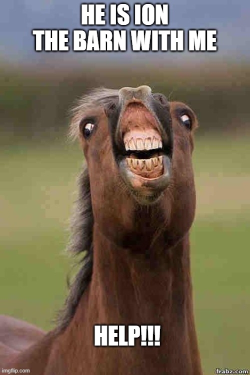 horse face | HE IS ION THE BARN WITH ME HELP!!! | image tagged in horse face | made w/ Imgflip meme maker