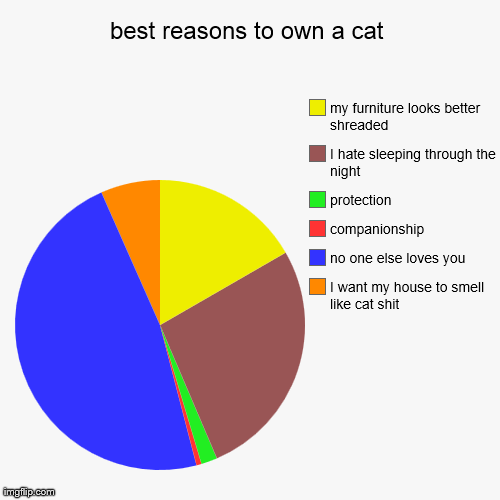 image tagged in funny,pie charts | made w/ Imgflip chart maker