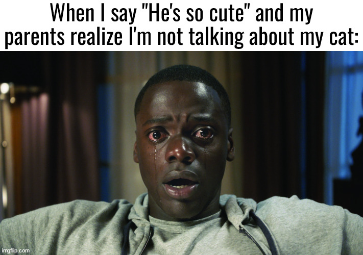 The moment they realize the bloodline is cooked | When I say "He's so cute" and my parents realize I'm not talking about my cat: | image tagged in get out meme | made w/ Imgflip meme maker