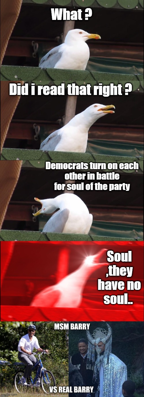 What ? Did i read that right ? Democrats turn on each other in battle for soul of the party; Soul ,they have no soul.. | image tagged in memes,inhaling seagull | made w/ Imgflip meme maker