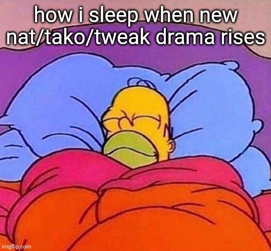 honk mimimimi | how i sleep when new nat/tako/tweak drama rises | made w/ Imgflip meme maker