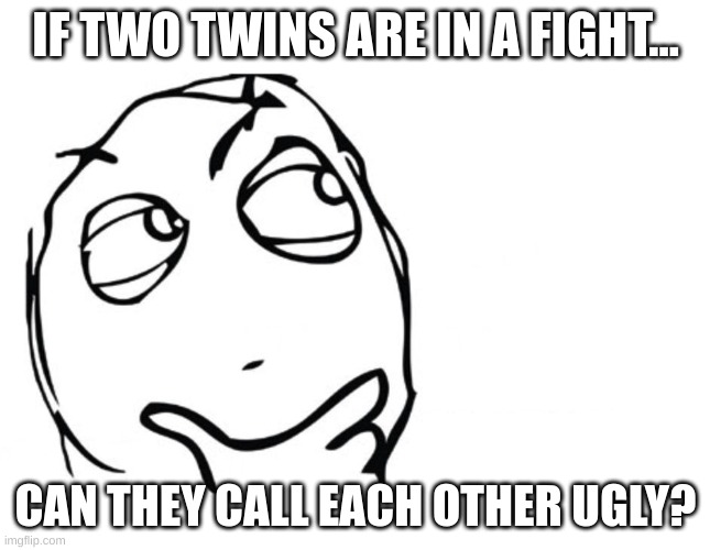 If they do that they be roasting themselves | IF TWO TWINS ARE IN A FIGHT... CAN THEY CALL EACH OTHER UGLY? | image tagged in hmmm,memes,twins,funny,fun stream,hmmmmmmm | made w/ Imgflip meme maker