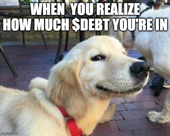 dog $DEBT | WHEN  YOU REALIZE HOW MUCH $DEBT YOU'RE IN | image tagged in dog smiling | made w/ Imgflip meme maker