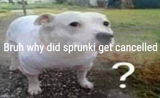 GWUH!?!?!?!?!? | Bruh why did sprunki get cancelled | image tagged in question mark dog | made w/ Imgflip meme maker