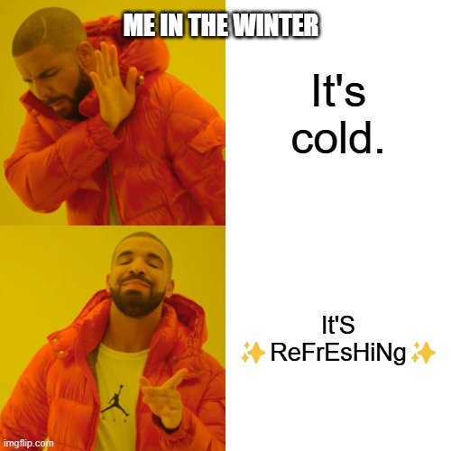 its not cold i swear!!! | ME IN THE WINTER; It's cold. It'S ✨ReFrEsHiNg✨ | image tagged in memes,drake hotline bling | made w/ Imgflip meme maker