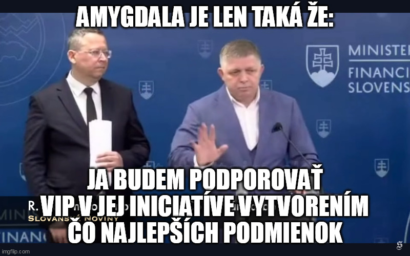 AMYGDALA JE LEN TAKÁ ŽE:; JA BUDEM PODPOROVAŤ VIP V JEJ INICIATÍVE VYTVORENÍM ČO NAJLEPŠÍCH PODMIENOK | made w/ Imgflip meme maker
