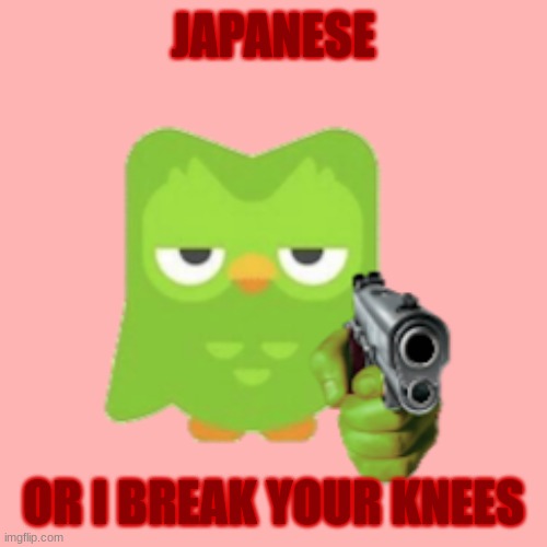 Japanese or I break your knees | JAPANESE; OR I BREAK YOUR KNEES | image tagged in duolingo,japanese,fun | made w/ Imgflip meme maker