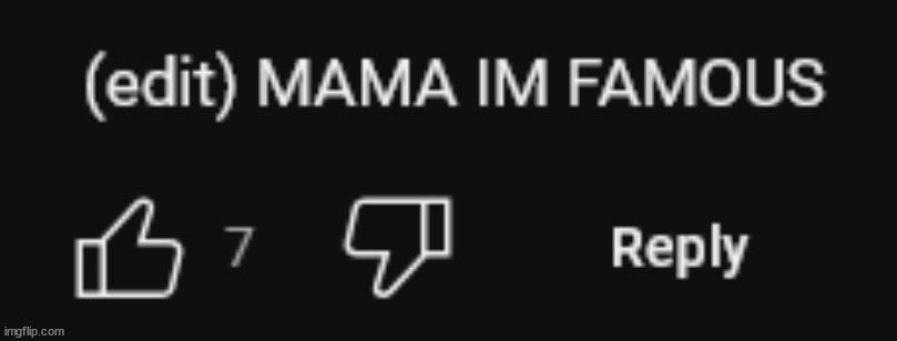 Vro thinks 7 likes is famous | made w/ Imgflip meme maker