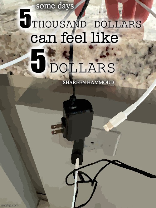 Some days five thousand dollars can feel like five dollars | some days; 5; THOUSAND DOLLARS; can feel like; 5; DOLLARS; SHAREEN HAMMOUD | image tagged in shareenhammoud,successmeme,successquotes,motivationquote,motivationmemes | made w/ Imgflip meme maker