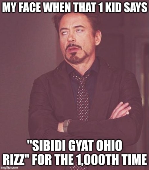 skibi gyat Ohio rizz | image tagged in tony stark,skibidi toilet,gyatt,ohio,rizz | made w/ Imgflip meme maker